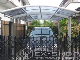 YKKAP�̃J�[�|�[�g ���C�i�����|�[�g �ϐ�`20cm�Ή� �{�H��