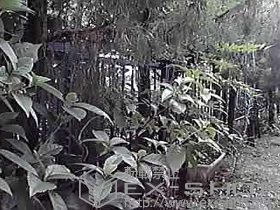 のフェンス・柵 レスティナフェンス21型 自由柱使用 施工例