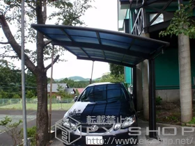 YKKAP�̃J�[�|�[�g ���C�i�|�[�g �ϐ�`20cm�Ή� �{�H��