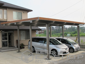 のカーポート テリオスポートIII 4500 2台用 間口延長 6本柱 積雪〜150?対応 施工例