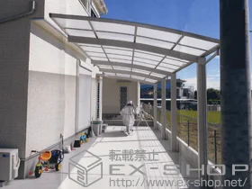 Value Select�̃J�[�|�[�g �v���V�I�X�|�[�g �c�A�� �ϐ�`20cm�Ή� �{�H��