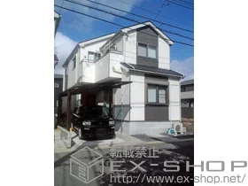 ��ʌ��������܎s��YKKAP�̃J�[�|�[�g ���C�i�|�[�g �ϐ�`20cm�Ή� �{�H��