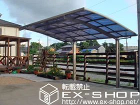 LIXIL NV(gXe)̃J[|[g J[u|[gVO}III ϐ`20cmΉ {H