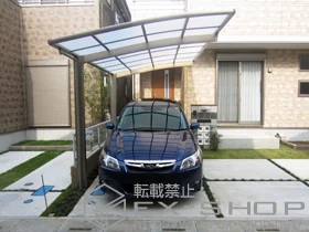 LIXIL ���N�V��(�g�X�e��)�̃J�[�|�[�g �J�[�u�|�[�g�V�O�}III �ϐ�`30cm�Ή� �{�H��