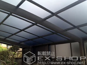 LIXIL ���N�V��(�g�X�e��)�̃J�[�|�[�g �J�[�u�|�[�g�V�O�}III �ϐ�`30cm�Ή�+�J�[�u�|�[�g�V�O�}III �T�C�h�p�l�� �{�H��