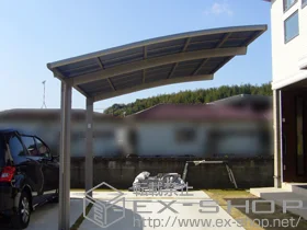 LIXIL ���N�V��(�g�X�e��)�̃J�[�|�[�g �J�[�u�|�[�g�V�O�}III �ϐ�`30cm�Ή� �{�H��