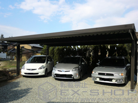 のカーポート テリオスポートIII 1500 3台用 4本柱 積雪〜50?対応+振れ軽減部材 施工例