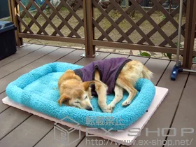 LIXIL ���N�V��(�g�X�e��)�̃E�b�h�f�b�L ���R�X�e�[�WII �P�� +���R�X�e�[�WII �X�e�b�v2�i�p+���R�X�e�[�WII �f�b�L�t�F���X �{�H��