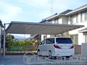 OA~̃J[|[g 4GCh ϐ`20cmΉ {H