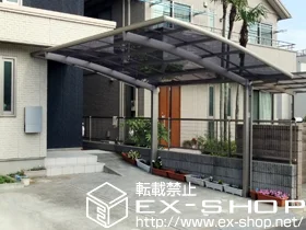 LIXIL NV(gXe)̃J[|[g J[u|[gVO}III ϐ`20cmΉ {H