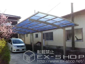 YKKAP�̃J�[�|�[�g ���C�i�|�[�g �c�A�� �ϐ�`20cm�Ή�+���C�i�|�[�g ���E���T�|�[�g 2�{�� �{�H��