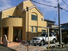 のカーポート レイナポート 積雪〜20cm対応＋着脱式サポート　標準・ハイルーフ兼用　2本入 施工例