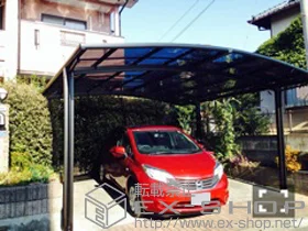 LIXIL ���N�V��(�g�X�e��)�̃J�[�|�[�g �J�[�u�|�[�g�V�O�}III ���C�h �ϐ�`20cm�Ή� �{�H��
