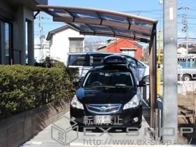 YKKAP�̃J�[�|�[�g ���C�i�|�[�g�O�����@�ϐ�`20cm�Ή� �{�H��