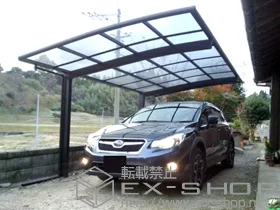 LIXIL ���N�V��(�g�X�e��)�̃J�[�|�[�g �J�[�u�|�[�g�V�O�}III �ϐ�`20cm�Ή� �{�H��