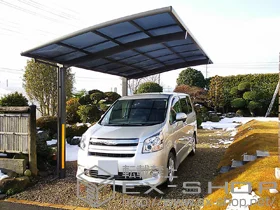 LIXIL ���N�V��(�g�X�e��)�̃J�[�|�[�g �J�[�u�|�[�g�V�O�}III �ϐ�`20cm�Ή� �{�H��