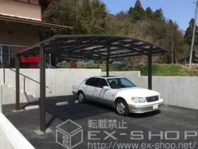 LIXIL ���N�V��(�g�X�e��)�̃J�[�|�[�g �J�[�u�|�[�g�V�O�}III ���C�h �ϐ�`20cm�Ή� �{�H��