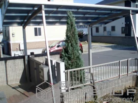 Value Select�̃J�[�|�[�g �v���V�I�X�|�[�g �ϐ�`20cm�Ή�+���E���T�|�[�g 2�{�� �{�H��