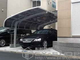 LIXIL ���N�V��(�g�X�e��)�̃J�[�|�[�g �e�[���|�[�g�V�O�}III �ϐ�`20cm�Ή� �{�H��