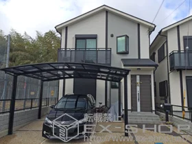 LIXIL ���N�V��(�g�X�e��)�̃J�[�|�[�g �J�[�u�|�[�g�V�O�}III ���C�h �ϐ�`20cm�Ή� �{�H��