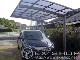 LIXIL NV(gXe)̃J[|[g J[u|[gVO}III ϐ`20cmΉ{ET|[g O23p {H