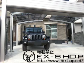 YKKAP�̃J�[�|�[�g ���C�i�|�[�g �ϐ�`20cm�Ή��{���C�i�|�[�g ���J�o�[�i���j 2���� �{�H��