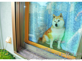 の二重窓（内窓） インプラス ダストバリア仕様 引違い窓 2枚建 施工例