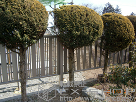 のフェンス・柵 ハイミレーヌR5型フェンス 多段柱タイプ 施工例