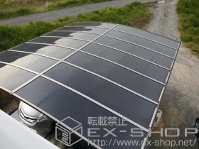 LIXIL NV(gXe)̃J[|[g J[u|[gVO}III Ch ϐ`20cmΉ {H