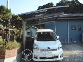 LIXIL ���N�V��(�g�X�e��)�̃J�[�|�[�g �J�[�u�|�[�g�V�O�}III �ϐ�`30cm�Ή�+�J�[�u�|�[�g�V�O�}�p ���[���T�|�[�g �{�H��