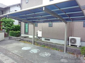 Value Select�̃J�[�|�[�g �v���V�I�X�|�[�g �ϐ�`20cm�Ή� �{�H��