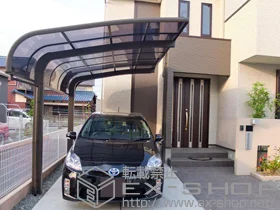 LIXIL NV(gXe)̃J[|[g e[|[gVO}III ϐ`30cmΉ {H