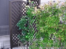 のフェンス・柵 スタンダードトレリス2型 施工例