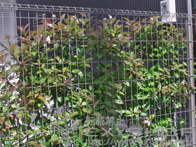 のフェンス・柵 イーネットフェンス1F型 施工例