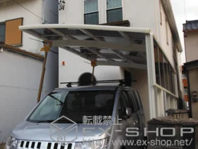 LIXIL ���N�V��(�g�X�e��)�̃J�[�|�[�g �J�[�u�|�[�g�V�O�}III �ϐ�`20cm�Ή�+�T�C�h�p�l�� 1�i �{�H��