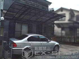 LIXIL NV(gXe)̃J[|[g J[u|[gVO}III ϐ`20cmΉ {H