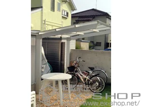 OA~̃J[|[g X}bg ϐ`20cmΉ {H