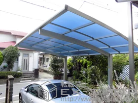 Value Select̃J[|[g vVIX|[g ϐ`20cmΉ {H