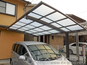 LIXIL ���N�V��(�g�X�e��)�̃J�[�|�[�g �J�[�u�|�[�g�V�O�}III �ϐ�`20cm�Ή�+���E���T�|�[�g�� �����O��23�p �{�H��