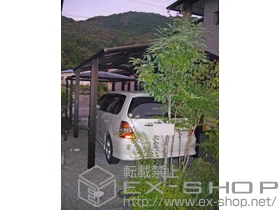 YKKAP�̃J�[�|�[�g ���C�i�����|�[�g�O�����@�ϐ�`20cm�Ή� �{�H��