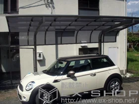 LIXIL ���N�V��(�g�X�e��)�̃J�[�|�[�g �e�[���|�[�g�V�O�}III �ϐ�`20cm�Ή� �{�H��