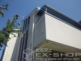 のバルコニー・ベランダ屋根 ライザーテラスII R型 屋根タイプ 単体 積雪〜20cm対応 施工例