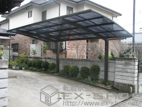 LIXIL ���N�V��(�g�X�e��)�̃J�[�|�[�g �J�[�u�|�[�g�V�O�}III �ϐ�`20cm�Ή� �{�H��