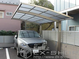 LIXIL ���N�V��(�g�X�e��)�̃J�[�|�[�g �J�[�u�|�[�g�V�O�}III �ϐ�`20cm�Ή� �{�H��