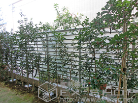 のフェンス・柵 サニーブリーズフェンスS型 施工例