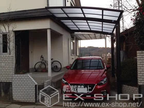 YKKAP�̃J�[�|�[�g ���C�i�|�[�g�O�����@�ϐ�`20cm�Ή� �{�H��