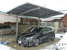 LIXIL ���N�V��(�g�X�e��)�̃J�[�|�[�g �J�[�u�|�[�g�V�O�}III �ϐ�`20cm�Ή� �{�H��