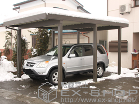 のカーポート テリオスポートIII 3000 6本柱 積雪〜100cm対応 施工例