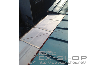 のバルコニー・ベランダ屋根 ライザーテラスII F型 屋根タイプ 単体 積雪〜20cm対応＋吊り下げ式物干し 標準2本入り×1セット 施工例