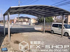 LIXIL ���N�V��(�g�X�e��)�̃J�[�|�[�g �J�[�u�|�[�g�V�O�}III ���C�h �ϐ�`20cm�Ή� �{�H��